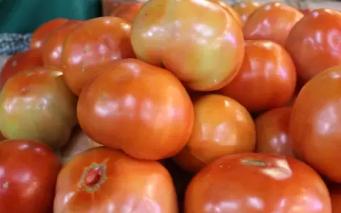 Ministro culpa a intermediarios y supermercadistas de la suba de precio del tomate