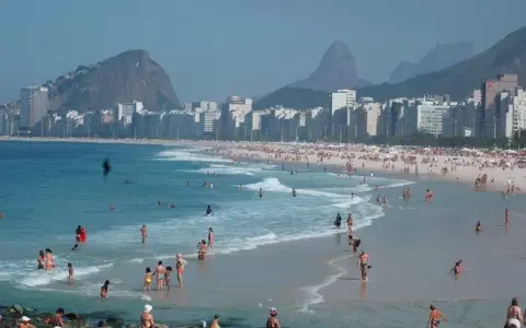 �Viaja al Brasil? Todo sobre el Certificado Internacional de Vacunaci�n Fiebre Amarilla
