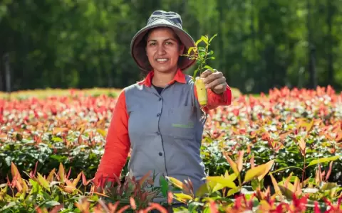Paraguay dispone de 5.100.000 hect�reas con alto potencial de inversi�n, seg�n informe