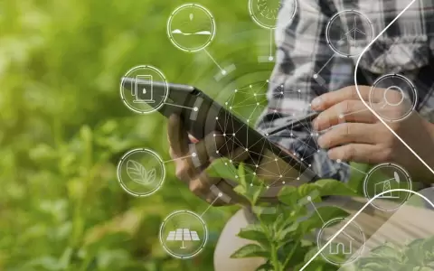 Uso de sat�lites en la agricultura paraguaya: Senave y AEP avanzan en su implementaci�n