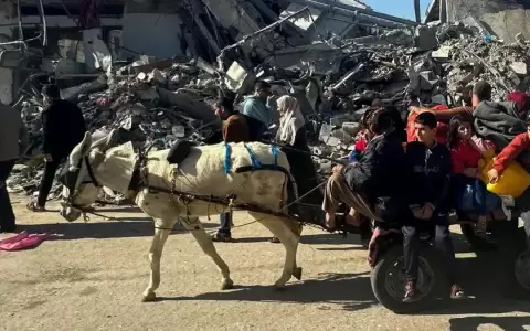 Israel y Ham�s extienden dos d�as la tregua humanitaria