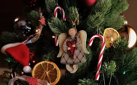 �Con cu�nto dinero ya podemos armar el arbolito de Navidad en casa?