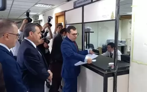 Kronawetter acciona ante la Corte, pide nulidad del nombramiento de Pucheta