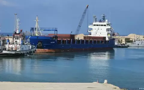 Gaza: llega a Egipto barco con 500 toneladas de ayuda m�dica