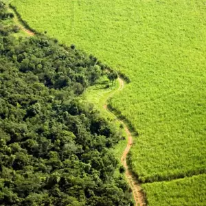 Paraguay avanza hacia el desarrollo sostenible gracias a la baja emisi�n de carbono