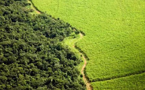 Paraguay avanza hacia el desarrollo sostenible gracias a la baja emisi�n de carbono