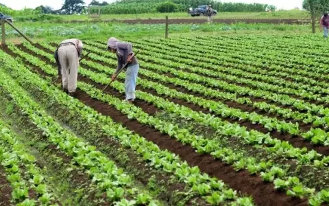 Presidente Pe�a agiliza la entrega de t�tulos de propiedad en reforma agraria