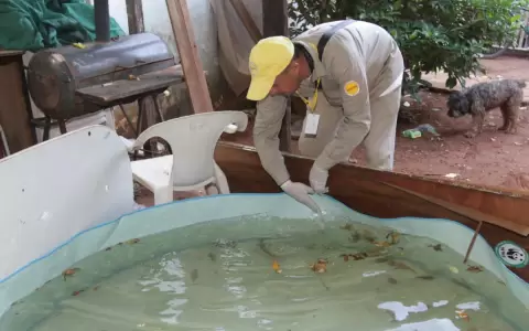 Cepas que mutaron del dengue hemorr�gico afectar�an m�s a ni�os y adolescentes