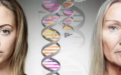 �Qu� son los "genes saltarines" y por qu� pueden ser clave para frenar el envejecimiento?