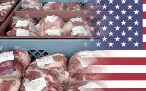 Se observan cambios en el consumo de carne y stock bovino en EE. UU. proyectados para el 2024