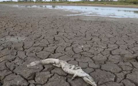 Se agrava la sequ�a en el Chaco