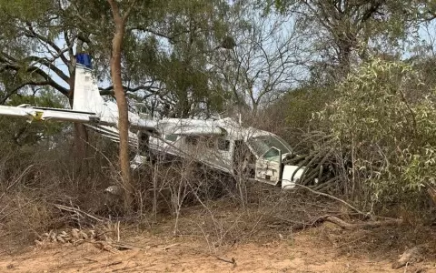 Siete personas salen ilesas de un accidente a�reo en el Chaco
