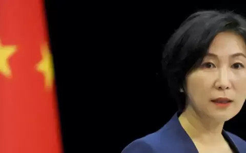 Pek�n: ser�a �gran error� para Milei cortar lazos con China