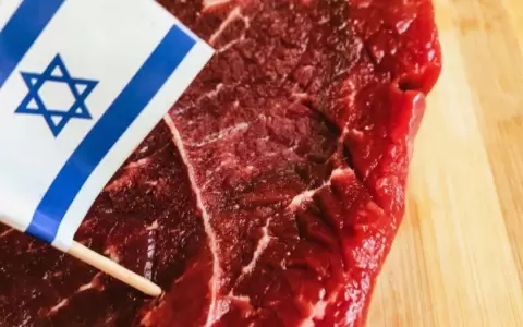 Llegada inminente de cuadrillas kosher a Paraguay para exportaci�n a Israel.