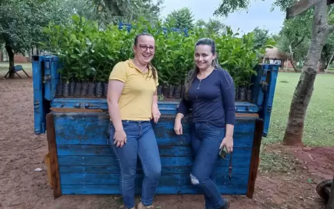Emprendedoras invierten en el sector forestal y producen 60.000 plantines anuales