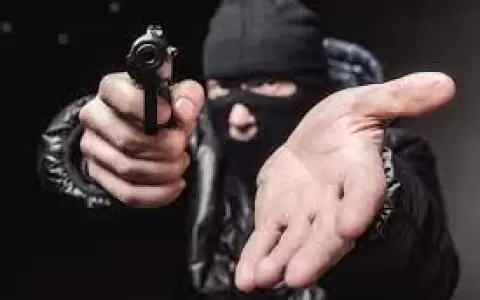 La criminalidad en Alemania descendi� un 5,6 % en 2025