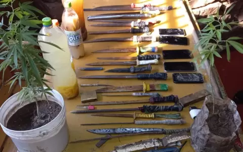 Inspecci�n en c�rcel de Emboscada detecta que hasta cultivaban marihuana