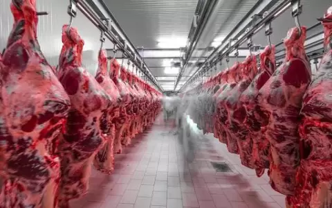 Exportaciones de carne a EE. UU. pronostican ingresos de USD 60 millones anuales