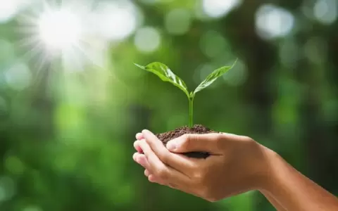 Gremios productivos se involucran en acuerdo UE-Mercosur