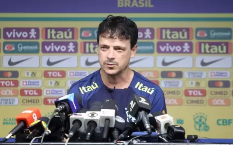 Diniz convoc� a un �brasiguayo� que quer�an para la Albirroja