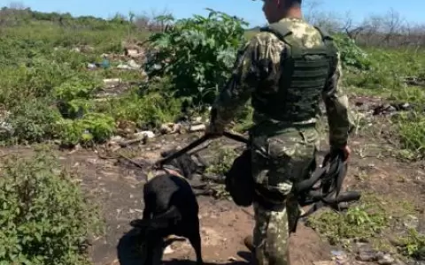Canes se unen a la b�squeda del segundo militar desaparecido en Lambar�