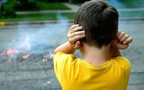 "M�s luces, menos ruido", la campa�a que pide conciencia sobre uso de pirotecnia