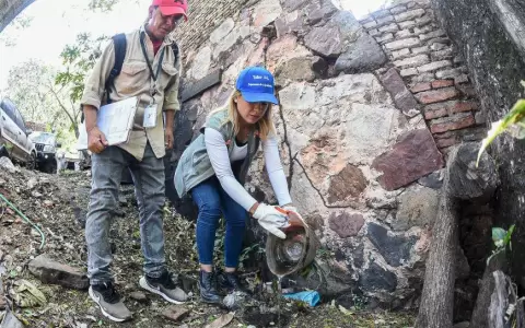 Dengue: IPS registra incremento de cuadros febriles