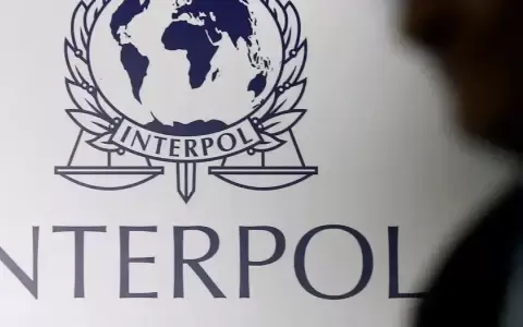 Interpol captura en Am�ricas a 250 traficantes de migrantes