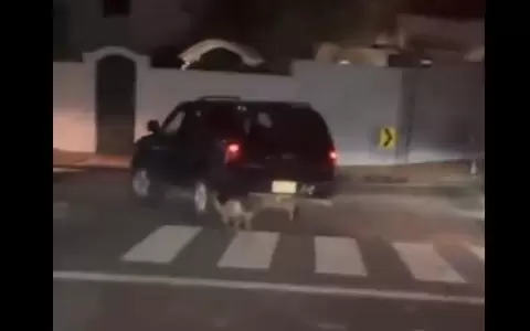 Hombre arrastr� a un perro atado a una camioneta y amenaz� con "balazo" a defensora
