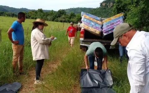M�s de 400 familias fueron afectadas por el �ltimo temporal del fin de semana
