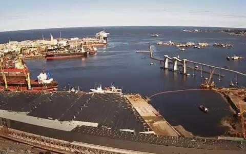 UIP advierte impacto en el comercio exterior debido a demoras en el puerto de Montevideo