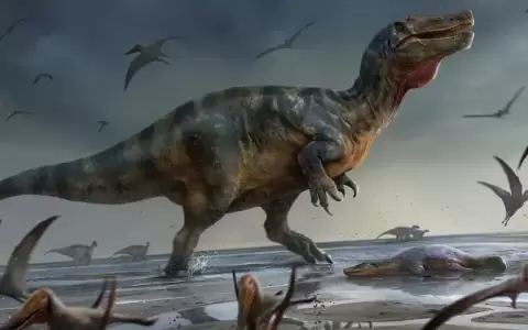 �C�mo los dinosaurios cambiaron el envejecimiento humano?