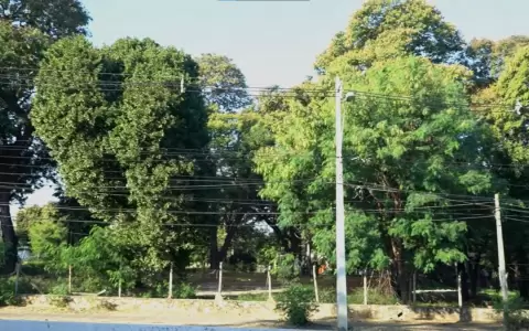 "Paraguay ya no puede permitirse el lujo de perder ninguna �rea verde urbana", afirma experto