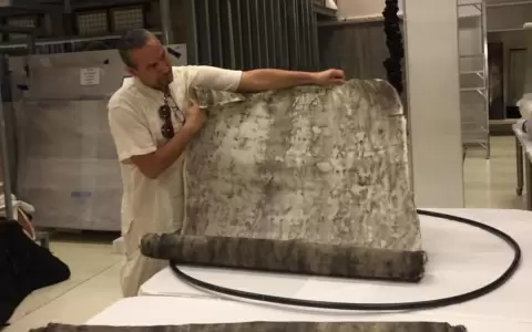 Obra de Marcos Ben�tez ingresa a la colecci�n del MALBA