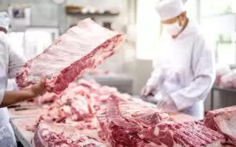 Paraguay logra nuevas certificaciones para exportar carne bovina a EE. UU.