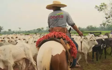ONU pide a Am�rica Latina descarbonizar sector agropecuario