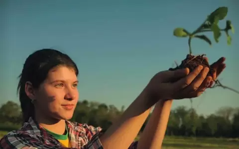 El cortometraje paraguayo "Semillas" recoge distinciones en el exterior