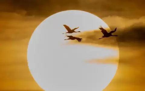 El Sol es m�s peque�o de lo que cre�amos
