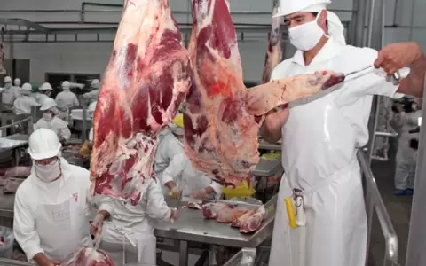 Hist�rico env�o de carne bovina paraguaya a EE. UU. tras 25 a�os de espera