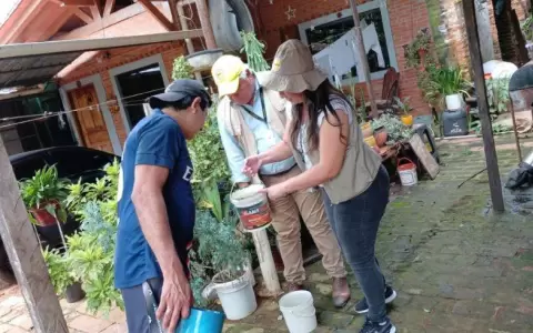 Caacup� 2023: intervenciones contra mosquitos para una peregrinaci�n segura