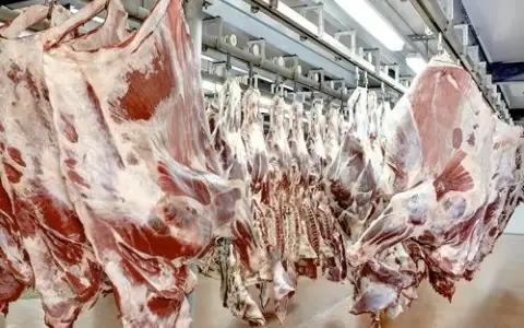 Primeros env�os de carne paraguaya a Canad�, pr�ximos a concretarse