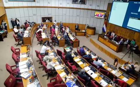 Senado levant� sesi�n sin decidir sobre futuro de Superintendencia de Jubilaciones