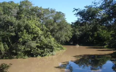 Paraguay, el gran humedal, y sus cursos de agua