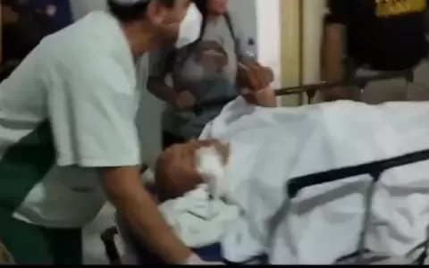 Lince sometido a cirug�a tras Operativo Veneratio volvi� a sus funciones