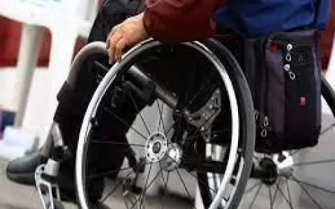 Para promover sus derechos, se recuerda hoy el D�a Internacional de Personas con Discapacidad