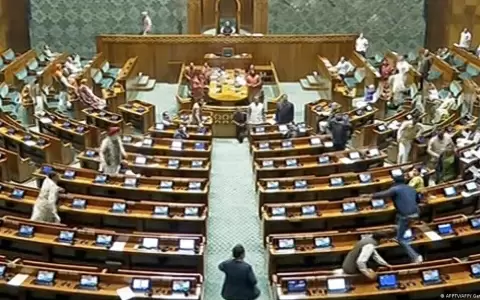 Dos hombres irrumpen en el Parlamento indio y lanzan gas