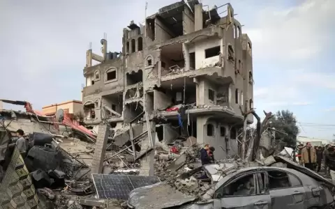 OMS dice haber recogido testimonios "desgarradores" en Gaza