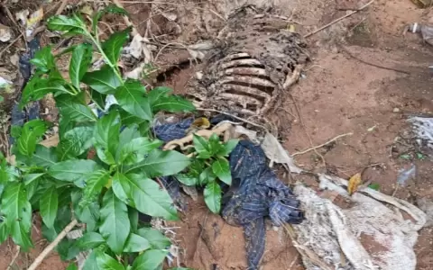 Hallan restos �seos en zona de b�squeda del militar Alexis Sosa