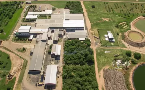 Cooperativa Chortitzer impulsa el resurgimiento del algod�n en el coraz�n del Chaco