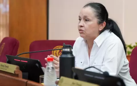 Sesi�n extra: senadora advierte que sus colegas violar�n la CN con ley de Superintendencia